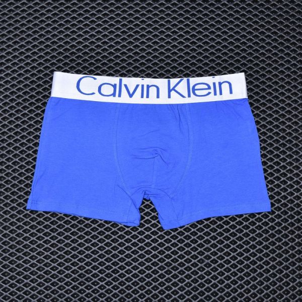 Men's briefs Calvin Klein Blue art 1012