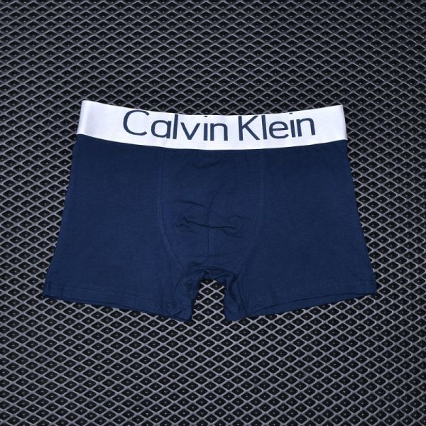 Men's briefs Calvin Klein Blue art 1014